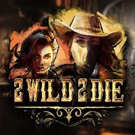 Play the 2 Wild 2 Die slot by Hacksaw Gaming on Spinfin Casino